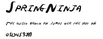 SpringNinja Preview
