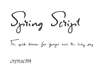 Spring Script Preview