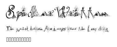 SpiderWritten Preview