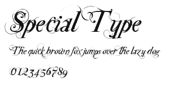 Special Type Preview