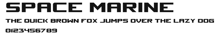 Space Marine Preview