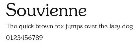 Souvienne Preview