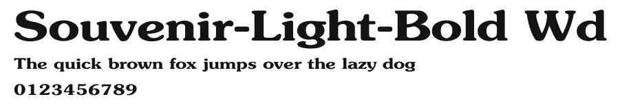 Souvenir-Light-Bold Wd Preview