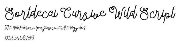 Sortdecai Cursive Wild Script Preview