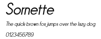 Sornette Preview