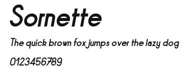 Sornette Preview