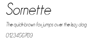 Sornette Preview