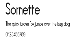 Sornette Preview