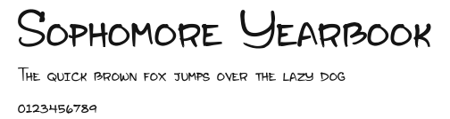 Sophomore Yearbook Preview