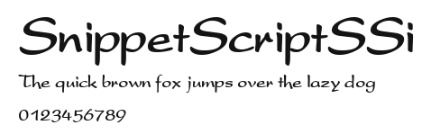 SnippetScriptSSi Preview