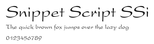 Snippet Script SSi Preview