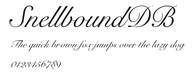 SnellboundDB Preview