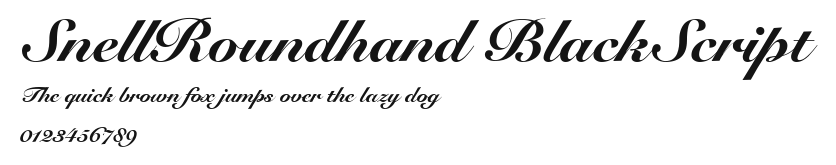 SnellRoundhand BlackScript Preview