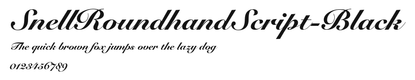 SnellRoundhandScript-Black Preview