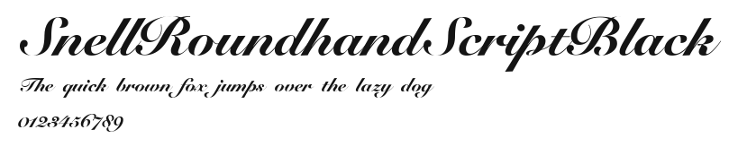 SnellRoundhandScriptBlack Preview