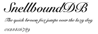 SnellboundDB Preview