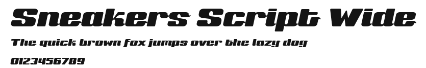 Sneakers Script Wide Preview