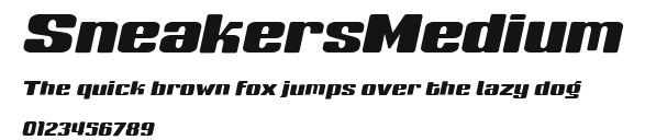 SneakersMedium Preview