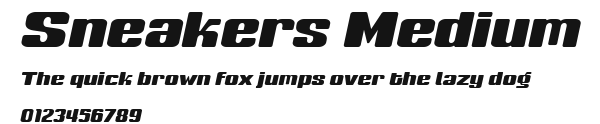 Sneakers Medium Preview