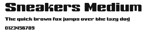 Sneakers Medium Preview