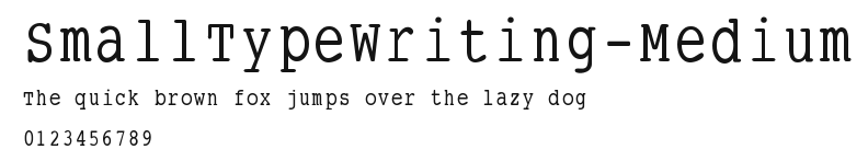 SmallTypeWriting-Medium Preview