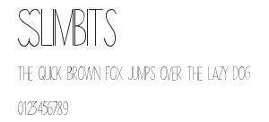 Slimbits Preview