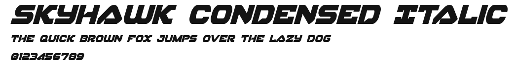 Skyhawk Condensed Italic Preview