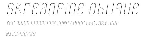 SkreanFine Oblique Preview