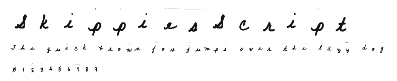 SkippiesScript Preview