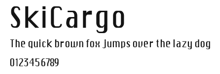 SkiCargo Preview
