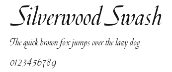Silverwood Swash Preview