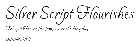 Silver Script Flourishes Preview