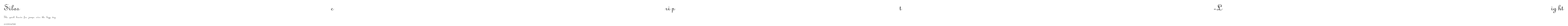 Siloscript-Light Preview