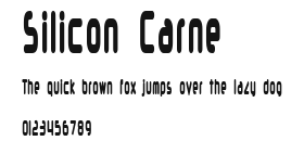 Silicon Carne Preview