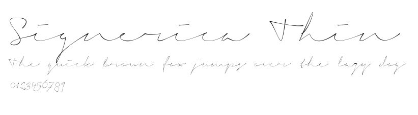 Signerica Thin Preview