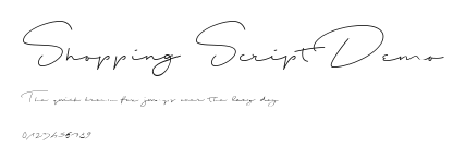 Shopping Script Demo Preview