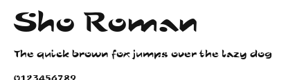 Sho Roman Preview