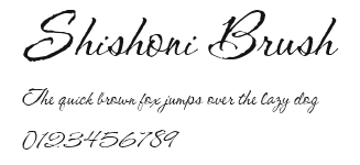 Shishoni Brush Preview