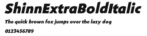 ShinnExtraBoldItalic Preview