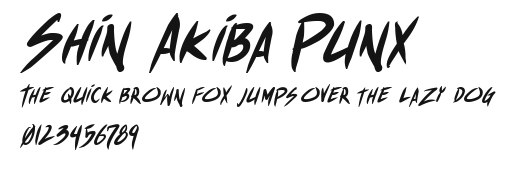 Shin Akiba Punx Preview