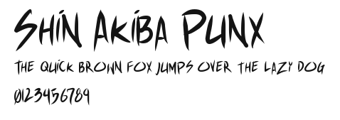 Shin Akiba Punx Preview