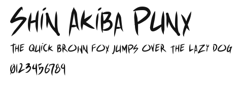 Shin Akiba Punx Preview