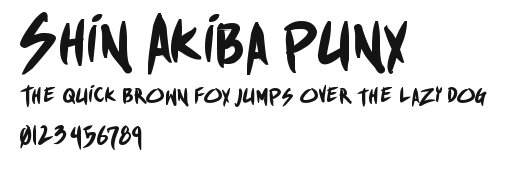 Shin Akiba punx Preview