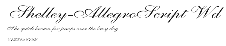 Shelley-AllegroScript Wd Preview