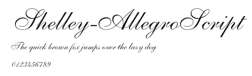 Shelley-AllegroScript Preview