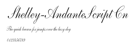 Shelley-AndanteScript Cn Preview