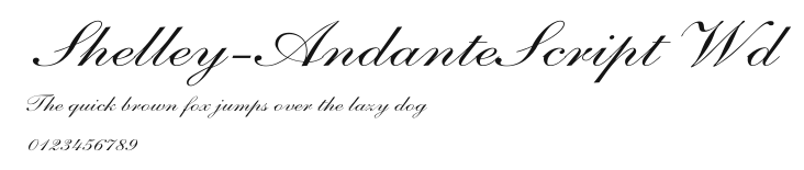Shelley-AndanteScript Wd Preview