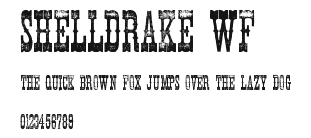 Shelldrake WF Preview