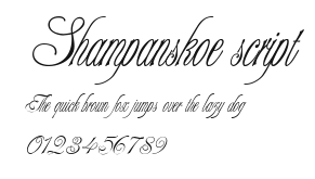 Shampanskoe script Preview