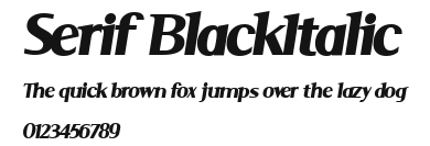 Serif BlackItalic Preview